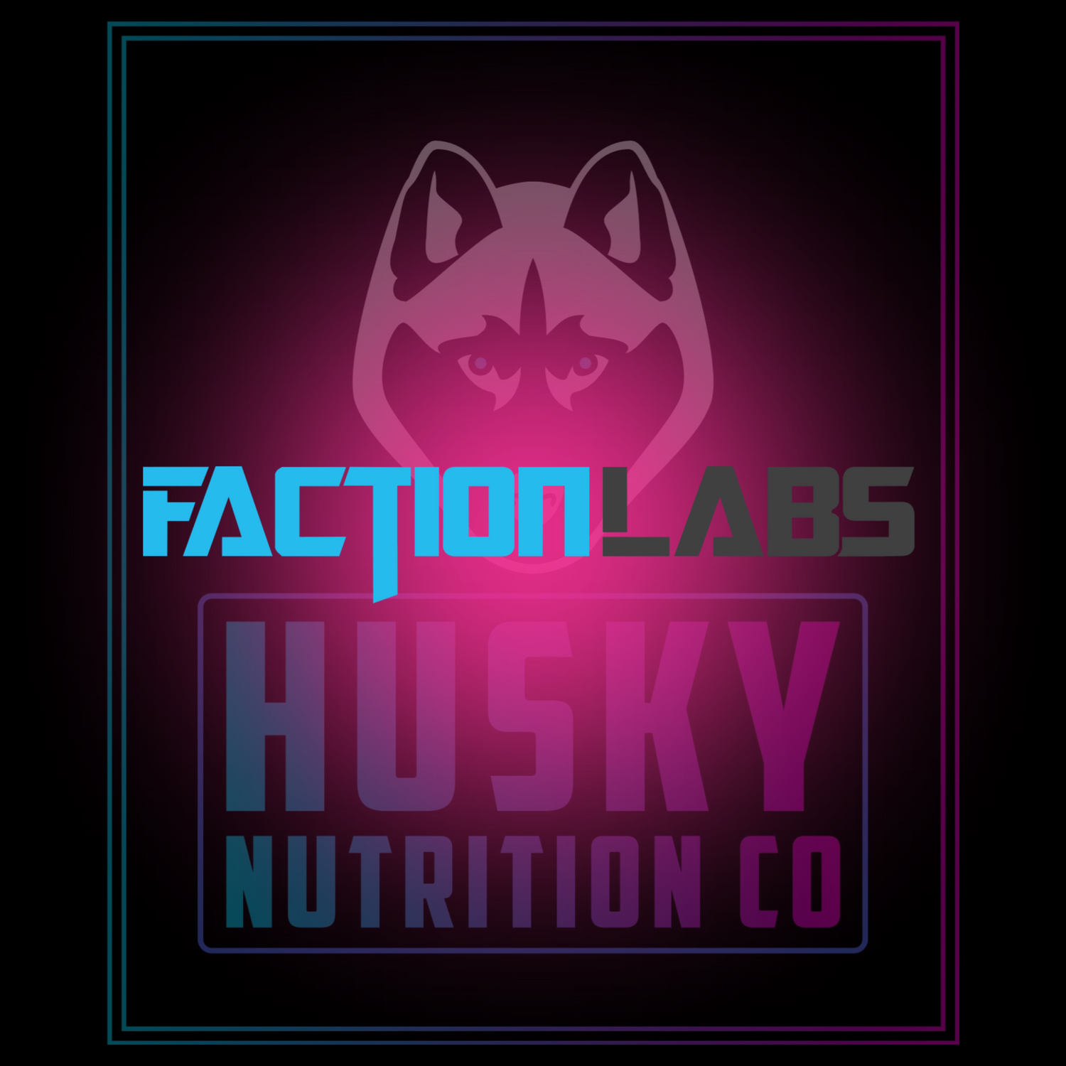 FACTION LABS