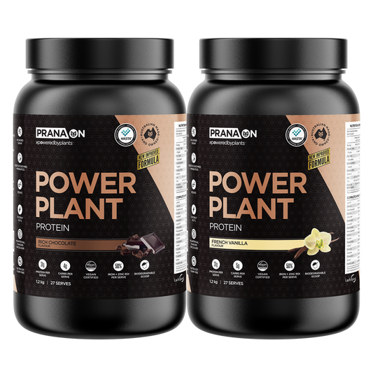2 Power Plant 1.2Kgs